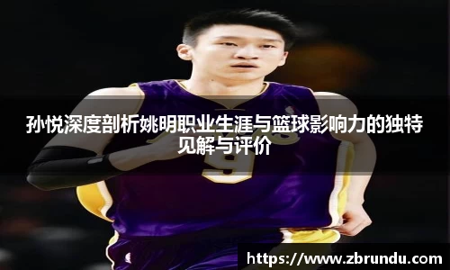 孙悦深度剖析姚明职业生涯与篮球影响力的独特见解与评价