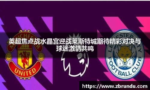 英超焦点战水晶宫迎战莱斯特城期待精彩对决与球迷激情共鸣
